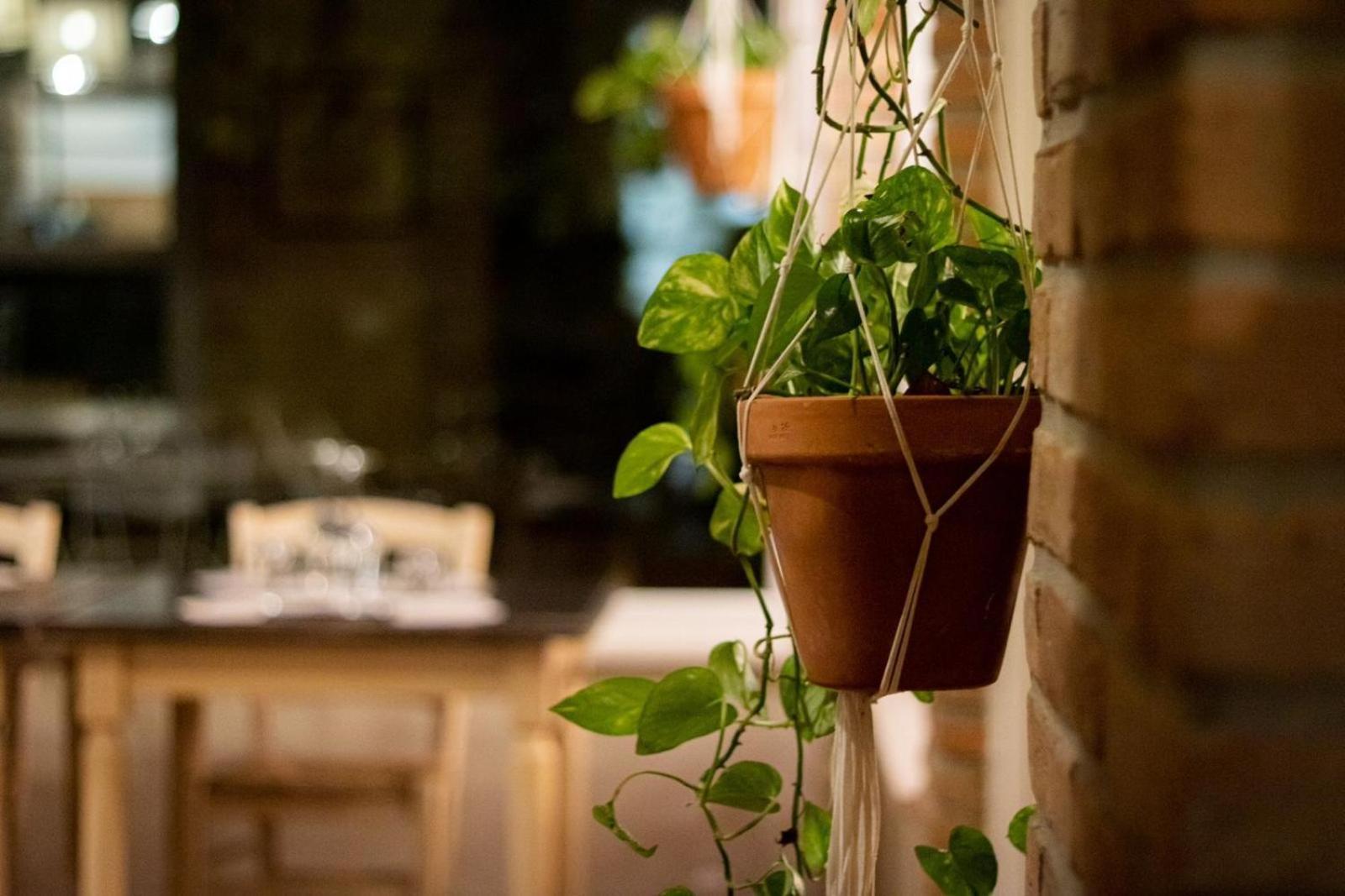Agricola Casa Cucina Bottega Villa Cesena Exterior foto